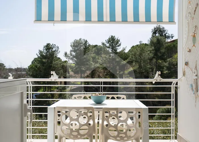 Homiday - I Gabbiani Int 01, Livrea